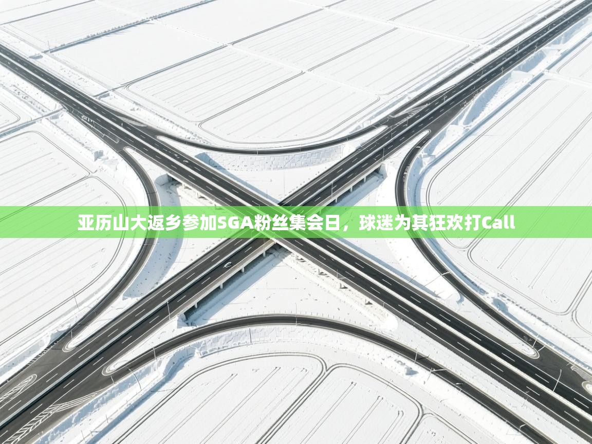 云开体育官方网站登录-亚历山大返乡参加SGA粉丝集会日,球迷为其狂欢打Call 第3张