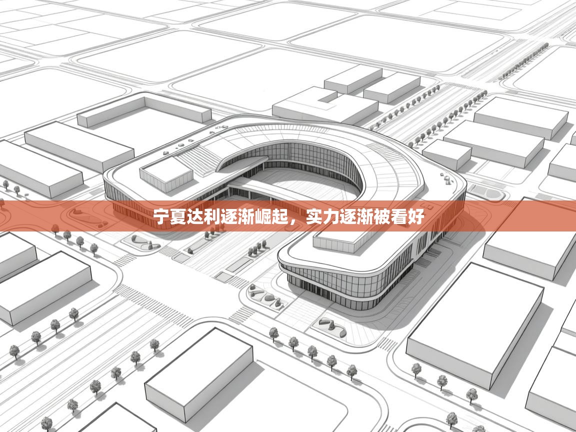 开云注册-宁夏达利逐渐崛起,实力逐渐被看好 第1张