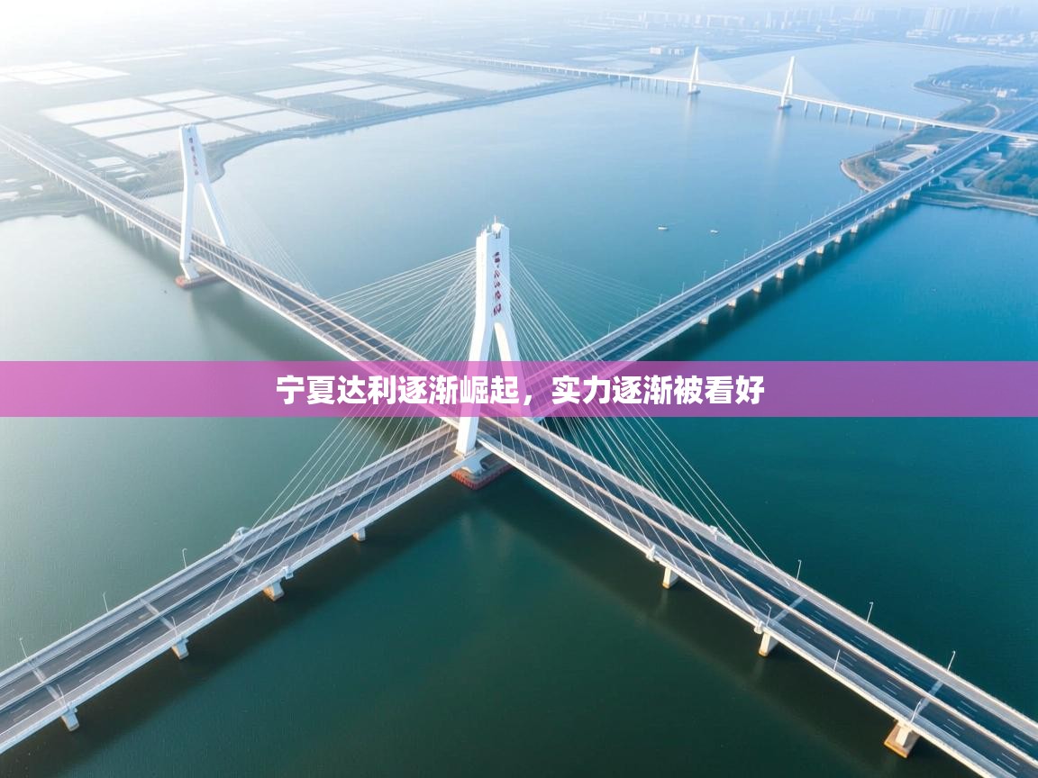 开云注册-宁夏达利逐渐崛起,实力逐渐被看好 第3张