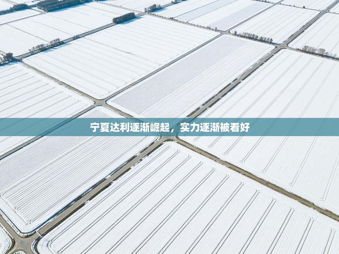 开云注册-宁夏达利逐渐崛起,实力逐渐被看好 第2张