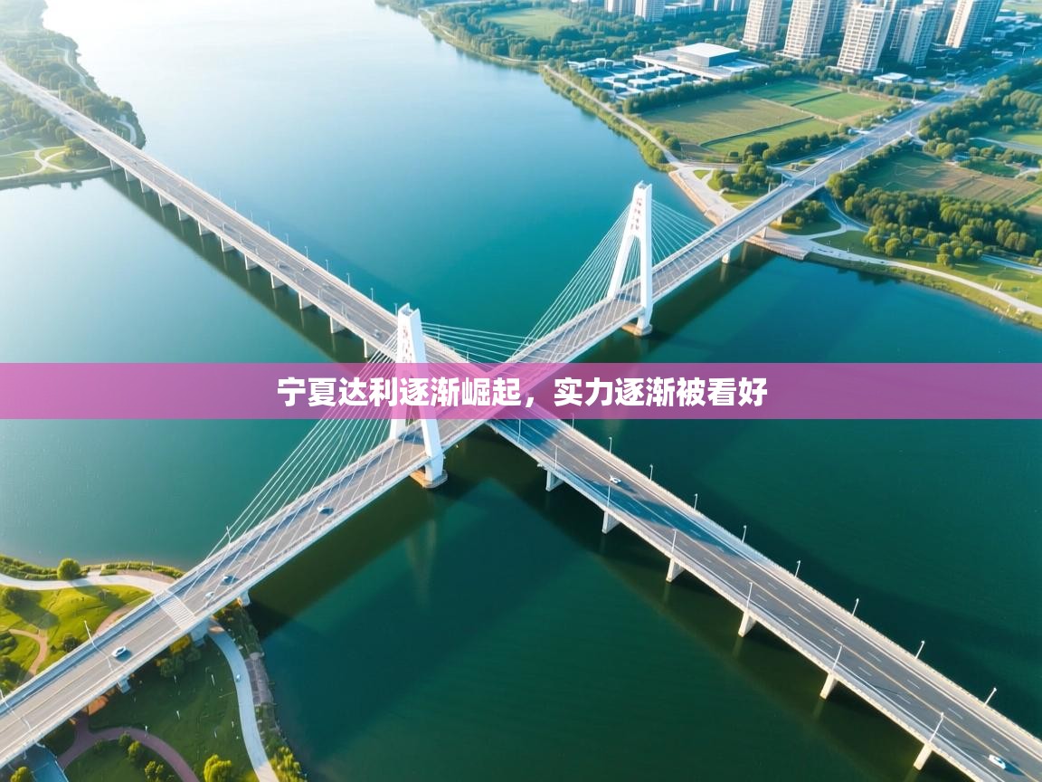 开云注册-宁夏达利逐渐崛起,实力逐渐被看好 第4张