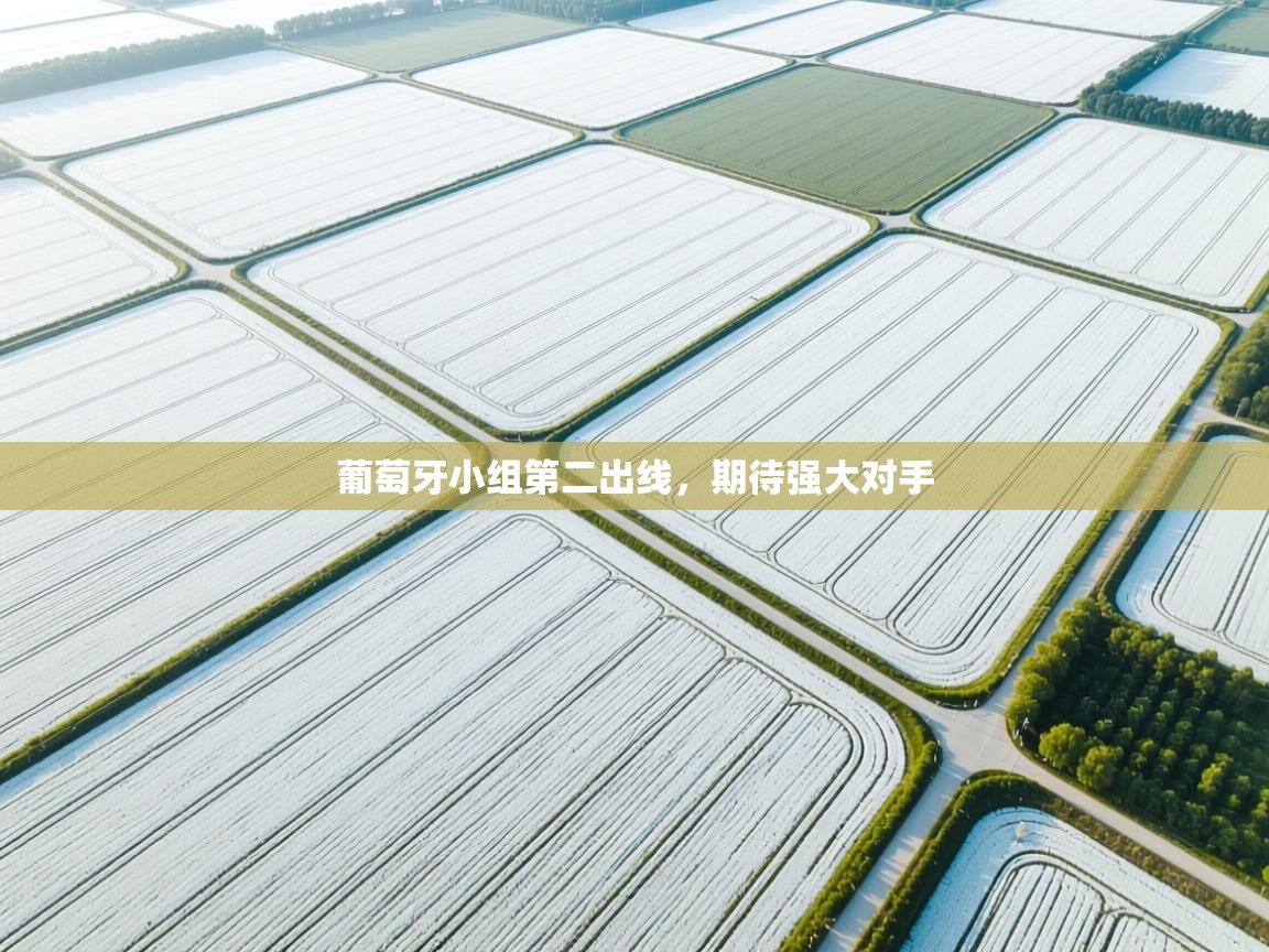 云开体育app网页版入口-葡萄牙小组第二出线，期待强大对手  第1张