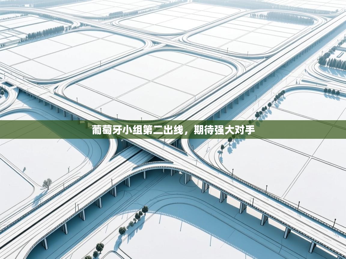 云开体育app网页版入口-葡萄牙小组第二出线，期待强大对手  第2张