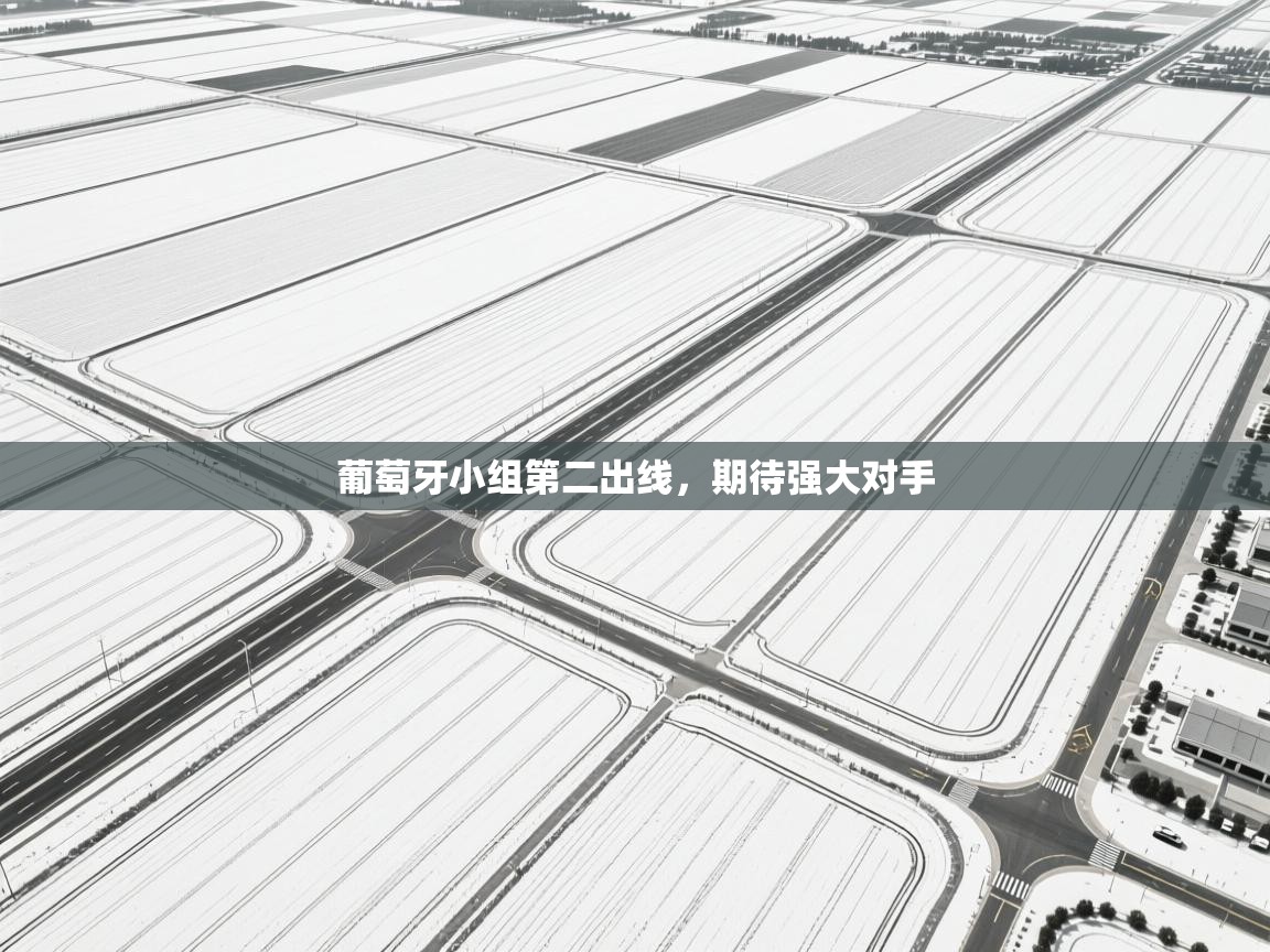 云开体育app网页版入口-葡萄牙小组第二出线，期待强大对手  第3张