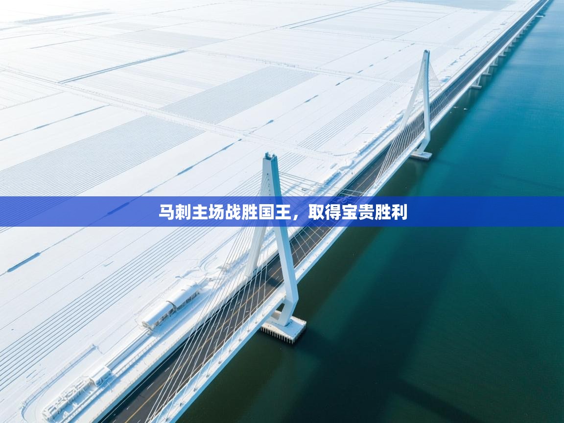 开云体育app官网入口网页版-马刺主场战胜国王,取得宝贵胜利 第4张